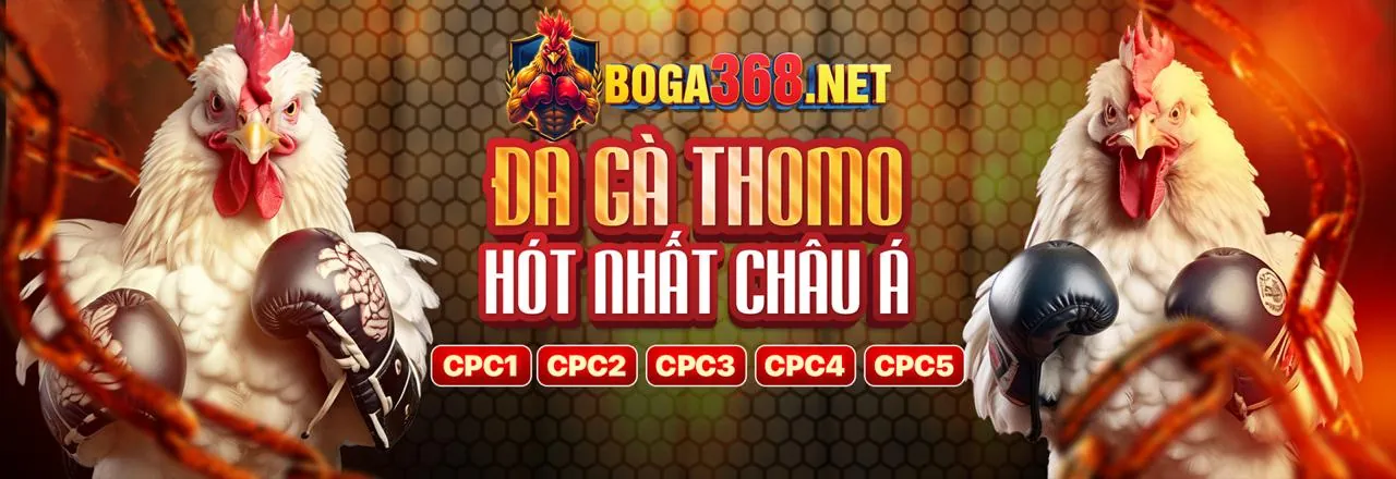 XIBET ưu đãi và phần thưởng